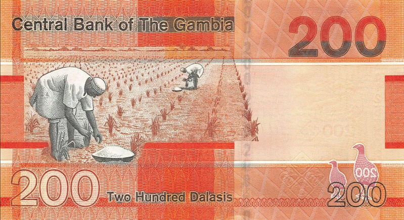 P42 Gambia 200 Dalasis Year 2019